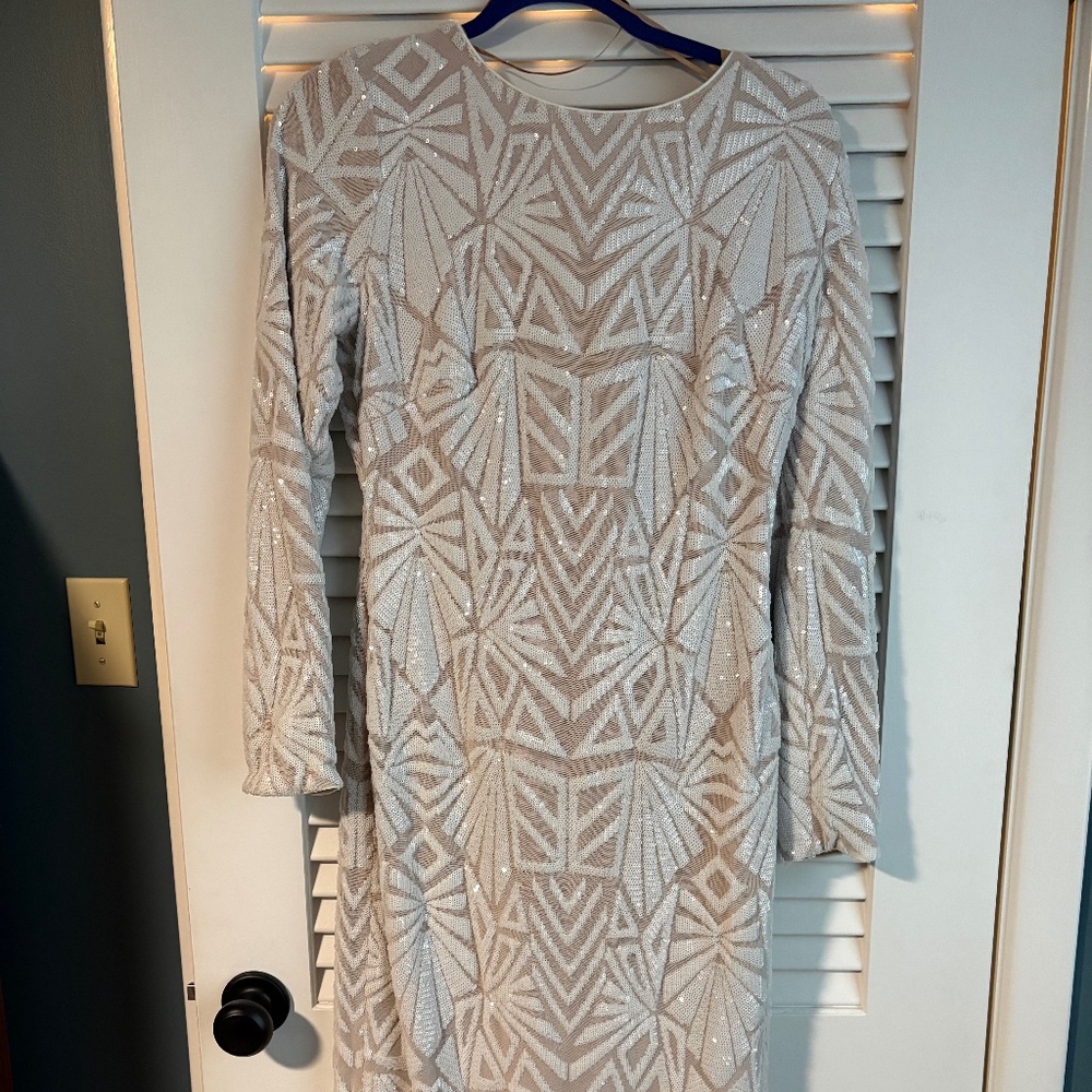 Dress the Population Emery Sequin Dress